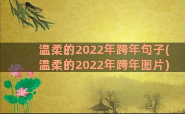温柔的2022年跨年句子(温柔的2022年跨年图片)