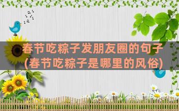 春节吃粽子发朋友圈的句子(春节吃粽子是哪里的风俗)
